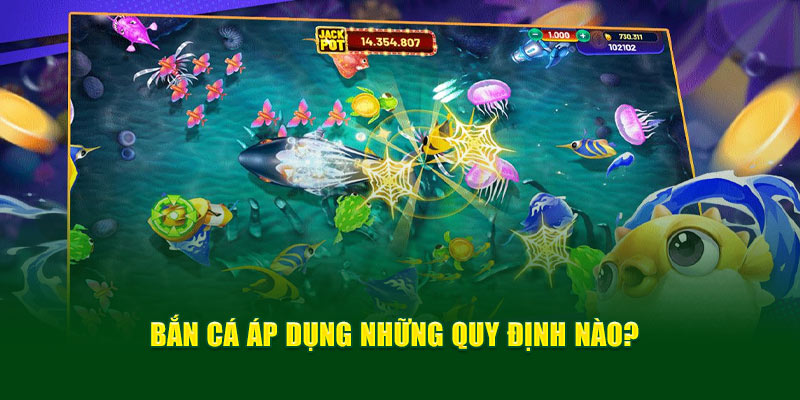 ban-ca-ap-dung-nhung-quy-dinh-nao