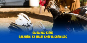 ga-da-hau-kieng-dac-diem-ky-thuat-choi-va-cham-soc