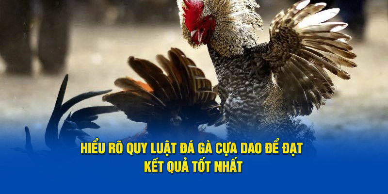 hieu-ro-quy-luat-da-ga-cua-dao-de-dat-ket-qua-tot-nhat