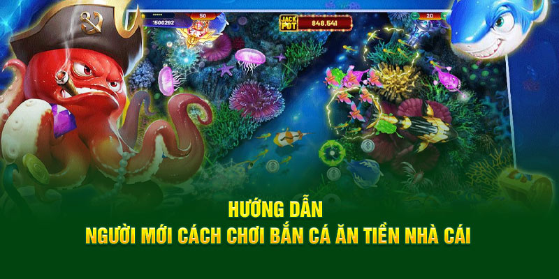 huong-dan-nguoi-moi-cach-choi-ban-ca-an-tien-nha-cai