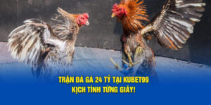 tran-da-ga-24-ty-tai-hubet-kich-tinh-tung-giay